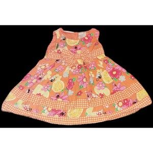 Young hearts Citrus and flower dress with bloomers 24 months